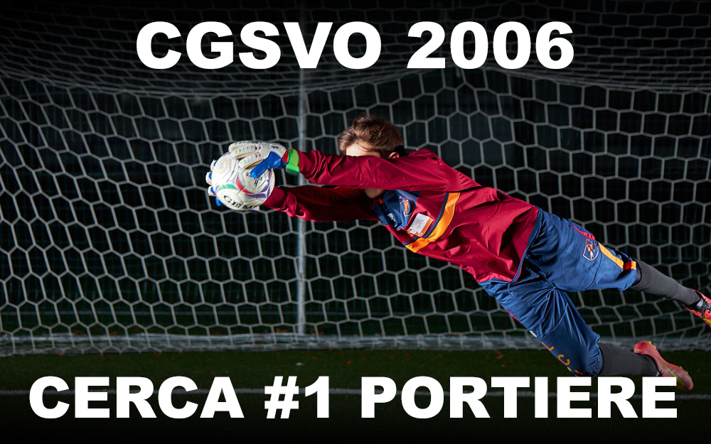 CERCASI PORTIERE